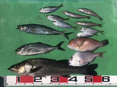 宝徳丸の2025年6月28日(土)4枚目の写真