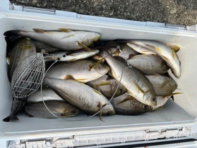 釣り船 黒潮丸の2025年7月2日(水)1枚目の写真
