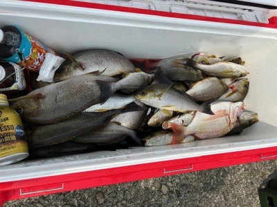 釣り船 黒潮丸の2025年7月2日(水)2枚目の写真