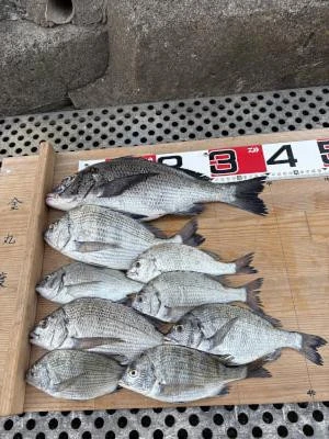 金丸渡船の2025年7月2日(水)1枚目の写真