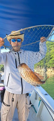 釣り船くわだの2025年6月29日(日)1枚目の写真