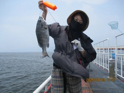 尼崎市立魚つり公園の2025年7月3日(木)1枚目の写真