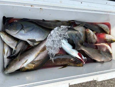 釣り船 黒潮丸の2025年7月5日(土)2枚目の写真