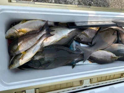 釣り船 黒潮丸の2025年7月5日(土)3枚目の写真