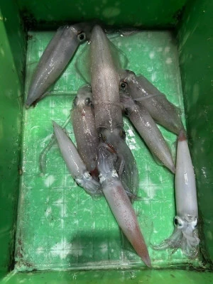 釣り船 黒潮丸の2025年7月5日(土)4枚目の写真