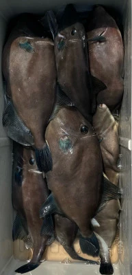 さくらの2025年7月2日(水)1枚目の写真