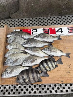 金丸渡船の2025年7月5日(土)3枚目の写真