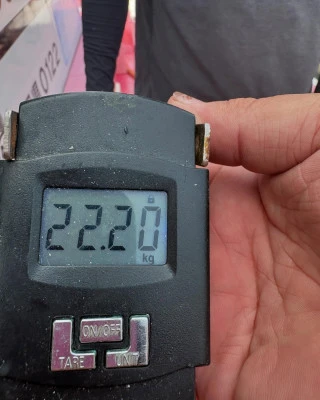 第八幸松丸の2025年7月6日(日)3枚目の写真