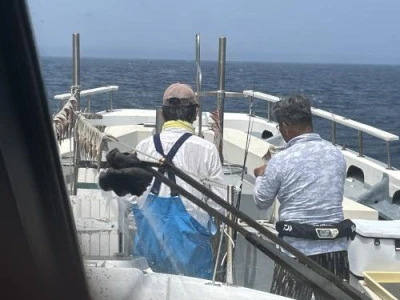 佐円丸の2025年7月8日(火)2枚目の写真