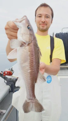 光海丸の2025年6月26日(木)2枚目の写真
