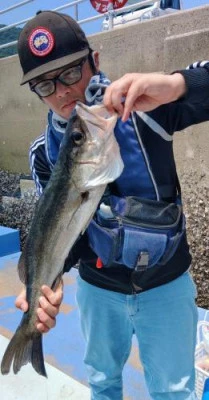 瀬渡し 浜栄丸の2025年7月9日(水)2枚目の写真