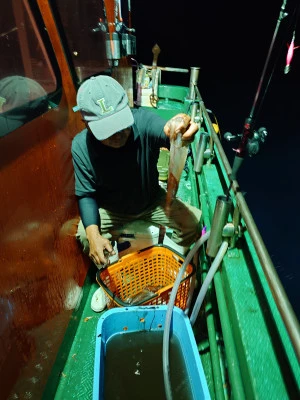清家渡船の2025年7月9日(水)3枚目の写真