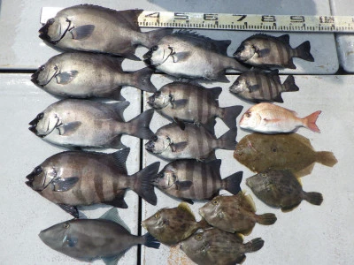 磯部釣船　直栄丸の2025年7月8日(火)1枚目の写真