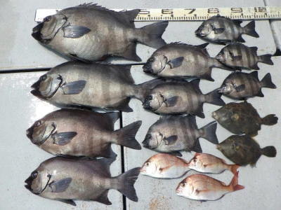 磯部釣船　直栄丸の2025年7月9日(水)1枚目の写真