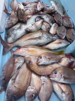 大翔丸の2025年6月25日(水)1枚目の写真