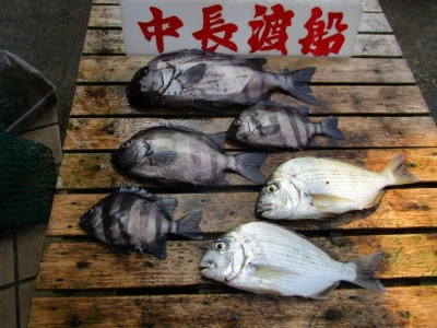 中長渡船の2025年7月10日(木)2枚目の写真