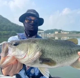 アウトドアハウスアオノの2025年7月9日(水)4枚目の写真