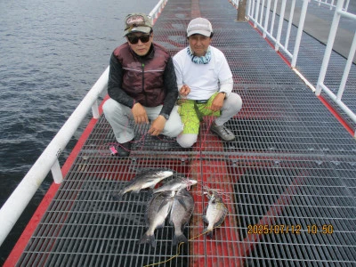 尼崎市立魚つり公園の2025年7月12日(土)3枚目の写真
