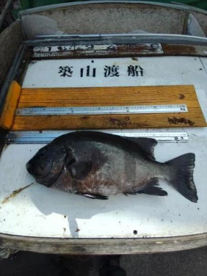 築山渡船の2025年7月12日(土)1枚目の写真