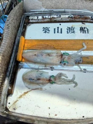 築山渡船の2025年7月12日(土)2枚目の写真