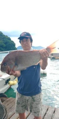 瀬渡し 浜栄丸の2025年7月12日(土)3枚目の写真
