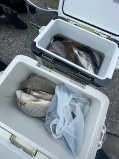 ヒダカ水産の2025年6月26日(木)1枚目の写真