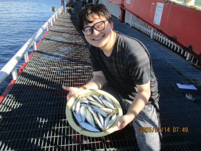 尼崎市立魚つり公園の2025年7月14日(月)1枚目の写真