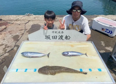 坂田渡船の2025年7月6日(日)1枚目の写真