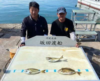 坂田渡船の2025年7月6日(日)3枚目の写真
