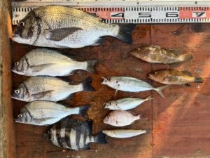 民宿とねの2025年7月12日(土)1枚目の写真