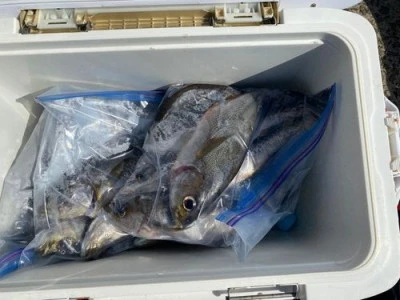 丸銀釣りセンターの2025年6月26日(木)2枚目の写真