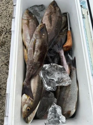 丸銀釣りセンターの2025年7月5日(土)5枚目の写真