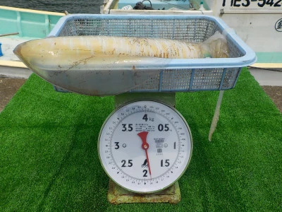 釣り船 久勝丸の2025年7月3日(木)4枚目の写真