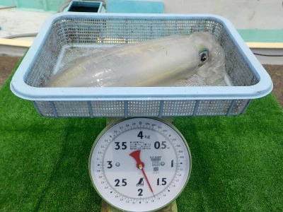 釣り船 久勝丸の2025年7月3日(木)5枚目の写真