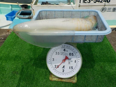 釣り船 久勝丸の2025年7月6日(日)5枚目の写真