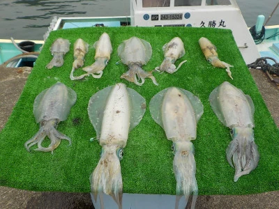 釣り船 久勝丸の2025年7月8日(火)3枚目の写真