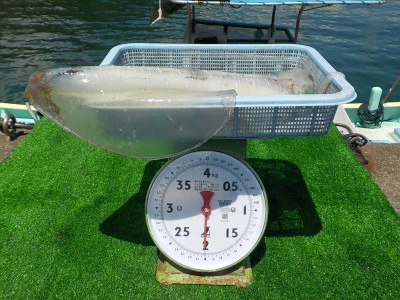 釣り船 久勝丸の2025年7月10日(木)4枚目の写真