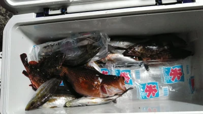 美代志丸の2025年7月16日(水)3枚目の写真
