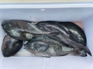 第３ 正幸丸の2025年7月16日(水)2枚目の写真