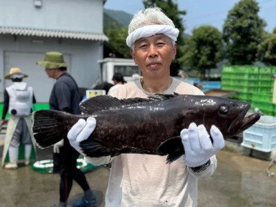 貞丸の2025年7月5日(土)1枚目の写真