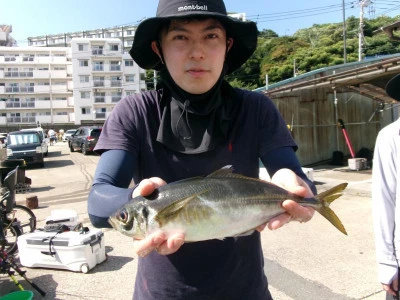一郎丸の2025年7月13日(日)4枚目の写真
