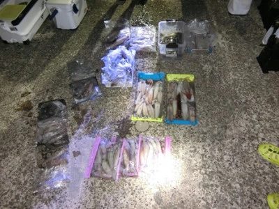 第二 幸新丸の2025年7月18日(金)5枚目の写真