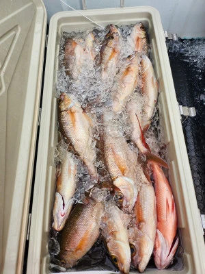 重郎平丸の2025年7月19日(土)2枚目の写真