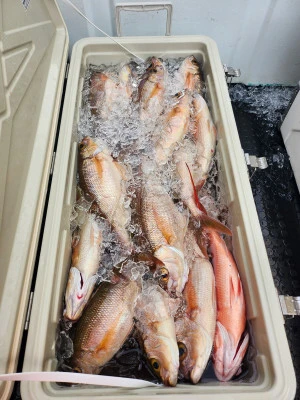 重郎平丸の2025年7月19日(土)4枚目の写真