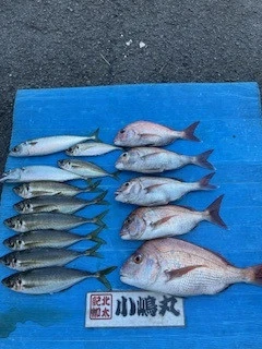 小嶋丸の2025年7月20日(日)1枚目の写真