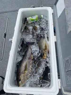 第二大福丸の2025年7月4日(金)5枚目の写真