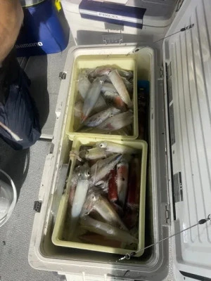 第二大福丸の2025年7月8日(火)1枚目の写真