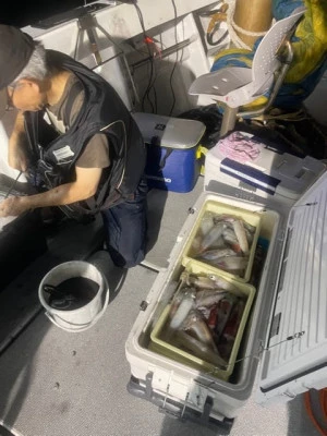 第二大福丸の2025年7月8日(火)2枚目の写真