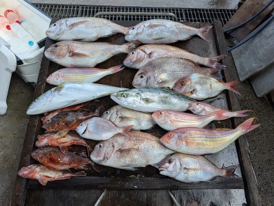 ヨシダマリンの2025年7月5日(土)1枚目の写真