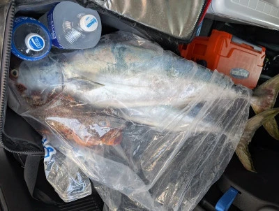 ヨシダマリンの2025年7月5日(土)2枚目の写真